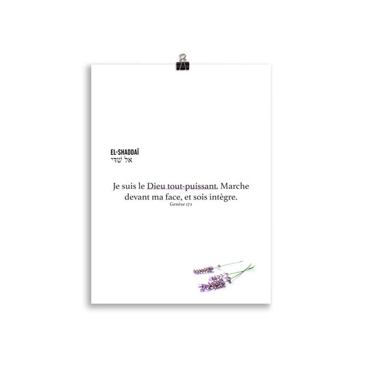 Poster : El-Shaddaï